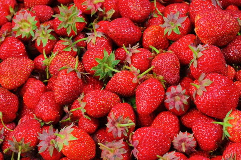 primeur-LA CELLE-min_strawberries-528791